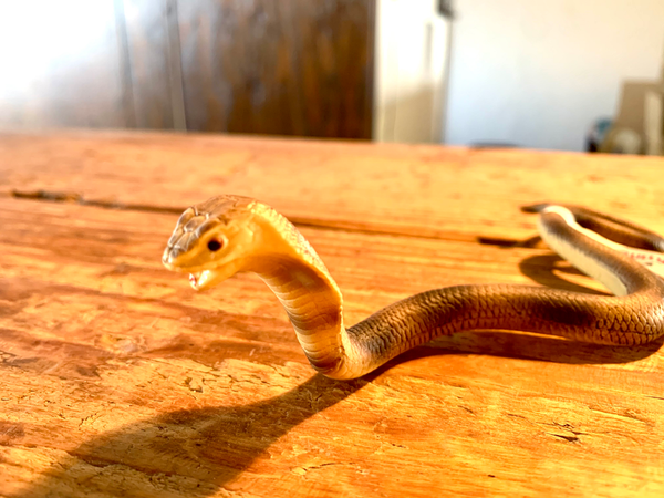 BULLYLAND Cobra